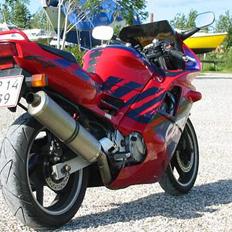 Honda Cbr 600 F2 (Randers)
