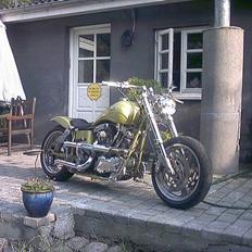 Harley Davidson custom 