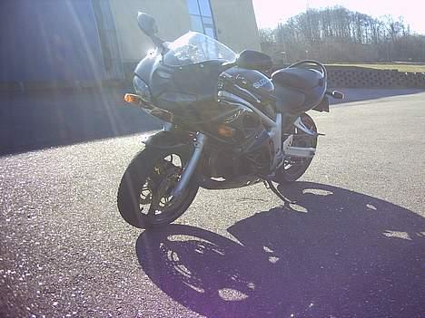 Suzuki SV 650S (solgt) billede 13