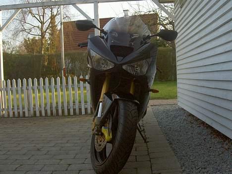 Kawasaki ZX6 R 636 Ninja "Århus" billede 3