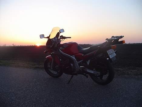 Suzuki gs500e billede 2