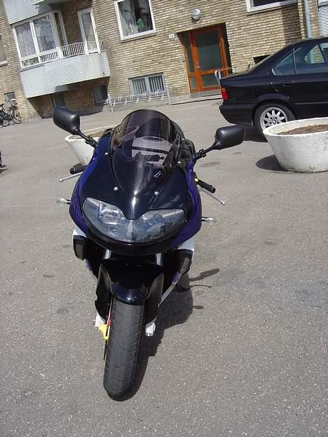 Suzuki TL1000R billede 3