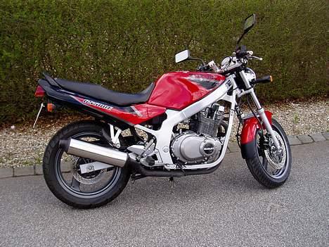 Suzuki GS 500 E - RIP -  billede 1