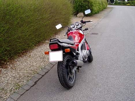 Suzuki GS 500 E - RIP -  billede 4