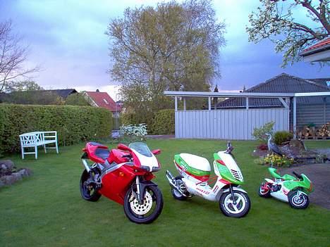 Cagiva Mito 125 [ SOLGT ] - Hele Garagen fremme til foto! billede 11