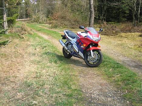 Honda CBR 600 - SOLGT billede 1