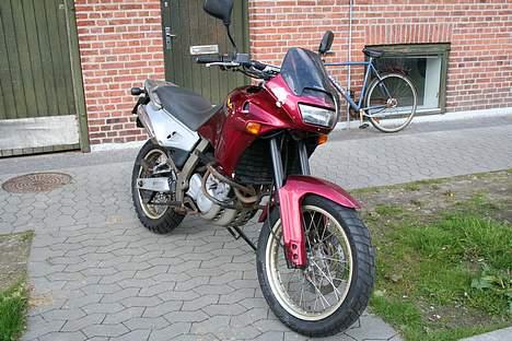 Aprilia Pegaso billede 6