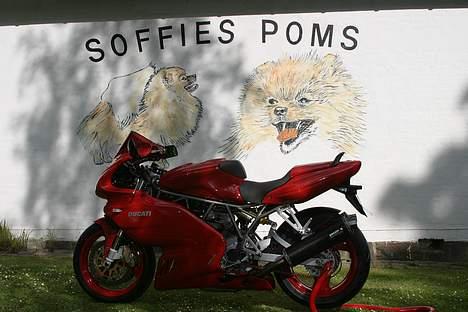 Ducati 750 SS ie billede 1