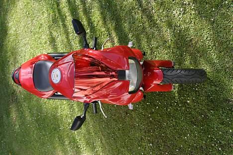 Ducati 750 SS ie billede 11