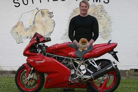 Ducati 750 SS ie billede 13