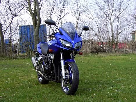 Yamaha fzs 600 fazer billede 4