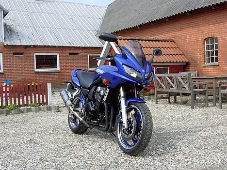 Yamaha fzs 600 fazer billede 12