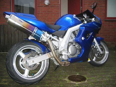 Suzuki Sv 650 s sk3 [--SOLGT--] - som det dog skinner det skidt, det har saterme osse taget sine vinternætter og stå og polere billede 11