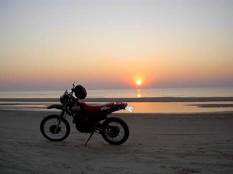 Honda XL 350 R [Nordjylland] billede 10