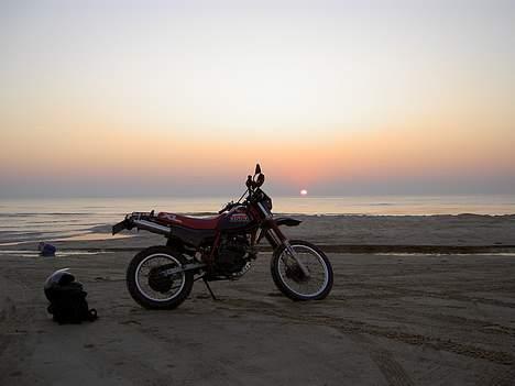 Honda XL 350 R [Nordjylland] billede 12