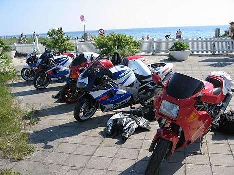 Suzuki TL1000R (SOLGT)  billede 12