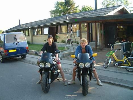 Suzuki rm250 billede 9