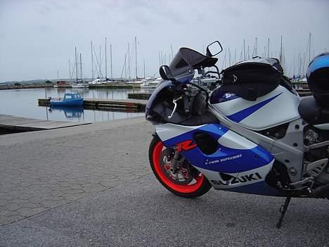 Suzuki TL1000R billede 6