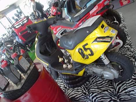 Yamaha yzf R1 - Min bane racer,Zip sp. billede 9