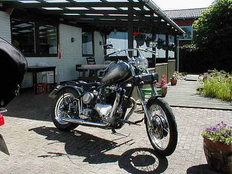 Triumph Thunderbird billede 3