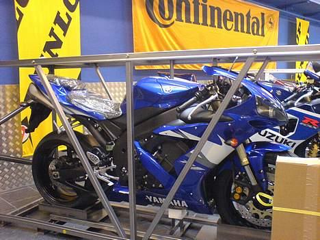 Yamaha R1 (STJÅLET) billede 4