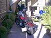 Lifan 250-4 Custom