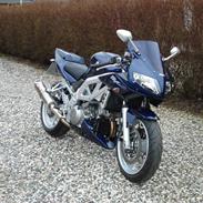 Suzuki SV1000S