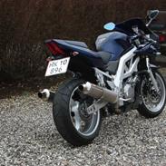 Suzuki SV1000S