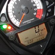Suzuki SV1000S