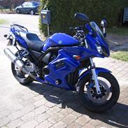 Yamaha FZS 600
