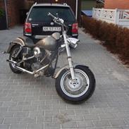 Harley Davidson flh-shovelhead-electra gl