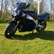 Yamaha FZR 1000(((solgt))))