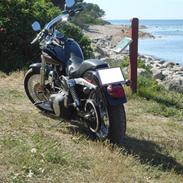 Harley Davidson FXDB Street Bob