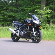 Suzuki Sv1000s