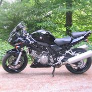 Suzuki Sv1000s