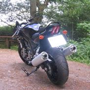 Suzuki Sv1000s