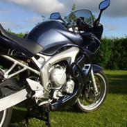 Yamaha FZ6