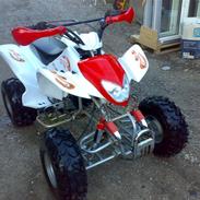 Adly Atv