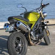 Triumph Speed Triple