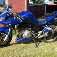 Suzuki Sv1000sk7