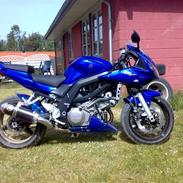Suzuki Sv1000sk7