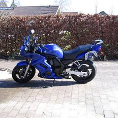 Yamaha FZS 600