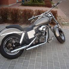 Harley Davidson flh-shovelhead-electra gl