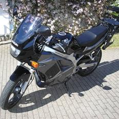 Suzuki GS500E