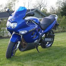 Suzuki GSX 600F