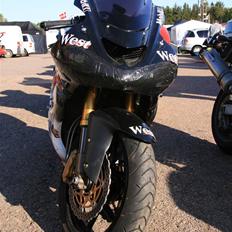 Kawasaki ZX10R Banejern