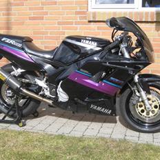 Yamaha FZR 1000 EXUP "SOLGT"