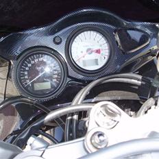 Suzuki TL 1000S