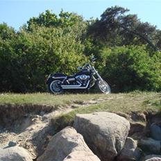 Harley Davidson FXDB Street Bob