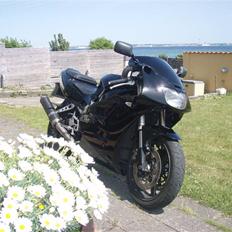 Kawasaki Zxr 400  (Solgt)